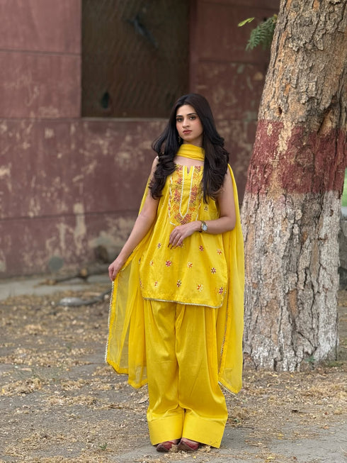 Noor-e-Zard