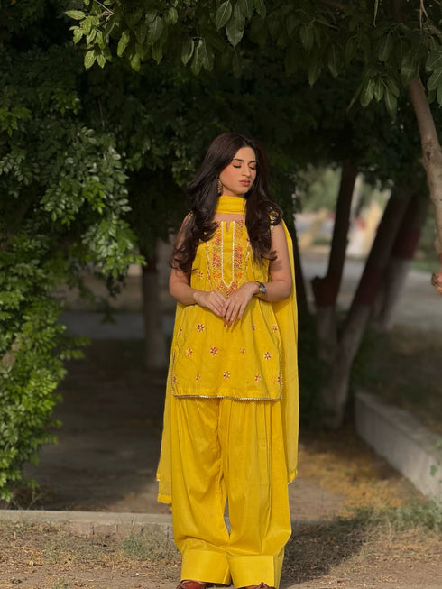 Noor-e-Zard
