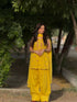 Noor-e-Zard