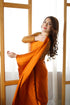 Rust Moonlight - Saree